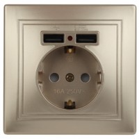 1-410-04 Intro Розетка+USB IP20 СП Plano шампань