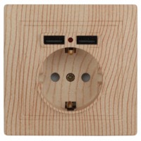 1-410-11 Intro Розетка+USB IP20 СП,Plano сосна