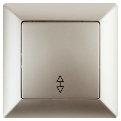 4-103-04 Intro Переключатель, 10А-250В, СУ, Solo, шампань