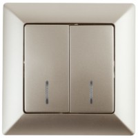 Выключатель 2кл. с инд. 10А-250В СП Solo шампань Intro Эра 4-105-04