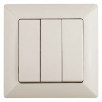 Выключатель 3кл. 10А-250В СП Solo сл.кость Intro Эра 4-106-02