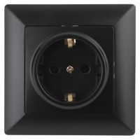 4-206-05 Intro Розетка 2P+E Schuko со шторками 16А-250В СП Solo антрацит