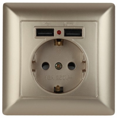 4-410-04 Intro Розетка P+E Schuko со шторками 16А-250В + 2хUSB СП Solo шампань