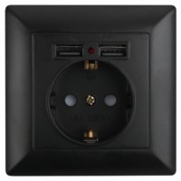 4-410-05 Intro Розетка P+E Schuko со шторками 16А-250В + 2хUSB СП Solo антрацит