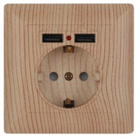 4-410-11 Intro Розетка P+E Schuko со шторками 16А-250В + 2хUSB СП Solo сосна