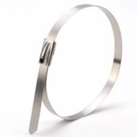 Хомут из нержавеющей стали 4,6х300 50 шт/уп ЭРА NO-KSS0-04