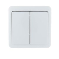 Выключатель 2кл. 1п ОП Viola 10А IP20 бел. Lezard 751-0200-101