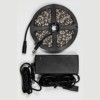 Лента светодиодная Feron LS606 готовый комплект 5м 60SMD(5050)/м 14.4Вт/м IP20 12V RGB