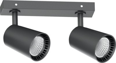 Светильник светодиодный Feron HL212 накладной 2*12W 4000K черный поворотный