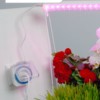Розетка с таймером Feron TM31 суточная мощность 3500W/16A IP44