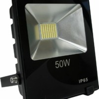 Прожектор светодиодный Feron LL-842 IP65 50W 6400K