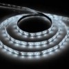 Лента светодиодная 60SMD(3528)/м 4.8Вт/м 12V 5м белый на белом c драйвером LS604