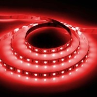 Лента светодиодная 60SMD(5050)/m 14.4W/m 12V 5m красный на белом LS606