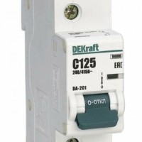 Выключатель автоматический модульный 1п C 100А 10кА ВА-201 Dekraft 13003DEK