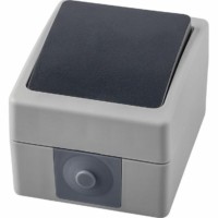 Выключатель 1кл. Stekker PSW10-111-54 ОП 250В 10А IP54 серый/графит