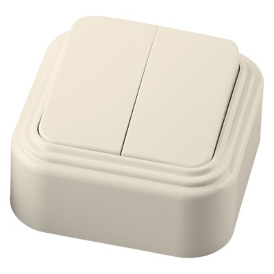 Выключатель 2кл. ОП 250В 6А IP20 сл.кость (VA 56-232-БЖ) Stekker PSW06-22-20