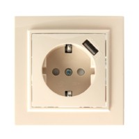 Розетка 1-местная с/з Stekker PST16-9011-02 250В 16А с защитной шторкой и с USB Эрна слоновая кость