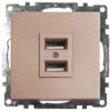 Розетка USB 2-местная механизм Stekker GLS10-7115-02 250B 2,1A Катрин шампань
