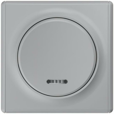 Выключатель 1кл. СП Florence 10А IP20 с инд. механизм сер. 1E31701302 OneKeyElectro 2172847