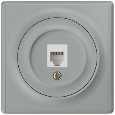 Розетка ПК 1-м СП Florence RJ45 кат.5E механизм сер. 1E20701302 OneKeyElectro 2172839