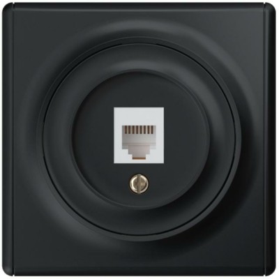 Розетка ПК 1-м СП Florence RJ45 кат.5E механизм черн. 1E20701303 OneKeyElectro 2172816