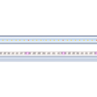 Светильник светодиодный PPG T5i-600 Agro 8Вт IP20 для растений white JazzWay 5025998