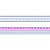 Светильник светодиодный PPG T5i-900 Agro 12Вт IP20 для растений JazzWay 5025950