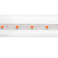 Лампа СДЛ фито PLED T8-600 PPG Agro 8Вт T8 линейная G13 CL Jazzway 5025899