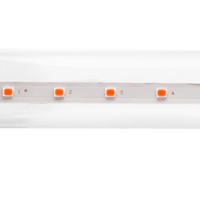 Лампа СДЛ фито PLED T8-900 PPG Agro 12Вт T8 линейная G13 CL JazzWay 5037410