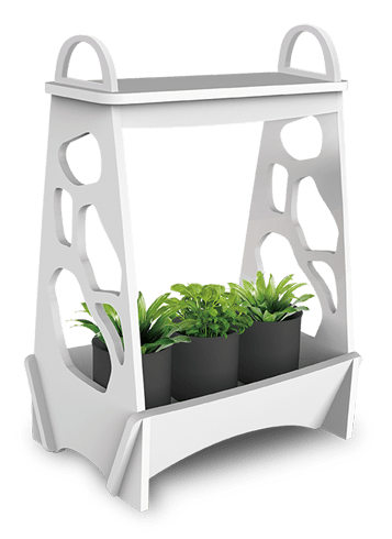 Подставка-светильник для растений PMG