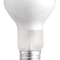 Лампа ЛН R63 60Вт E27 frost Jazz Way