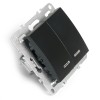 Выключатель 2-клавишный с инд. механизм Stekker PSW10-9102-03 250В 10А Эрна черный