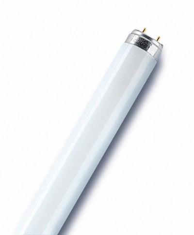 Лампа ЛЛ L 30W/765 30Вт T8 6500К G13 Ledvance OSRAM 4008321959706
