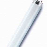 Лампа ЛЛ L 18Вт/830 LUMILUX 18Вт T8 3000К G13 смол. Ledvance OSRAM 4058075693050