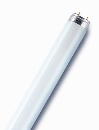 Лампа ЛЛ L 18Вт/765 18Вт T8 6500К G13 смол. Ledvance OSRAM 4008321959669