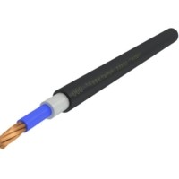 Кабель ВВГнг(А)-LS 1х25 МК 0.66кВ С (м) АЛЮР 00-00005099