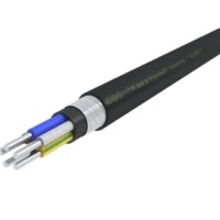 Кабель АВБШв 5х50 ОК (N PE) 0.66кВ (м) АЛЮР 00-00000224