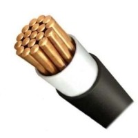 Кабель ВВГнг(А)-LS 1х120 МК (PE) 1кВ Ж/З (м) Агрокабель 28503