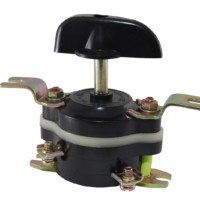 Пакетный выключатель ПВ2-40 исп.1 2П 40А 220В IP00 TDM