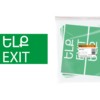 Знак “ВЫХОД” 200х100мм (армянский язык) TDM
