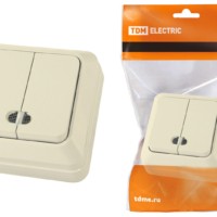 Выключатель 2кл. ОУ с подсветкой IP20 10А сл. кость Ладога TDM