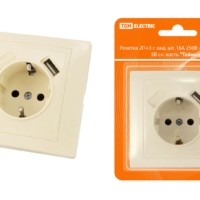 Розетка 2П+З с защ. шт. 16А 250В + USB порт 2,1А 5В сл. кость “Таймыр” TDM