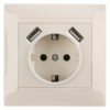 Розетка 2П+З 16А 250В + 2 USB порта 2,1А 5В сл.кость "Лама" TDM