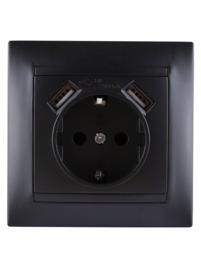 Розетка 2П+З 16А 250В + 2 USB порта 2,1А 5В графит "Лама" TDM — изображение 3