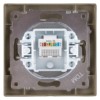 Розетка ПК RJ45 бронза "Лама" TDM