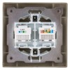 Розетка ТФ RJ11 + ПК RJ45 бронза "Лама" TDM
