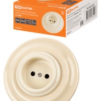 Розетка скрытой установки фарфоровая 2П 10А 250В сл. кость «Болонь» TDM