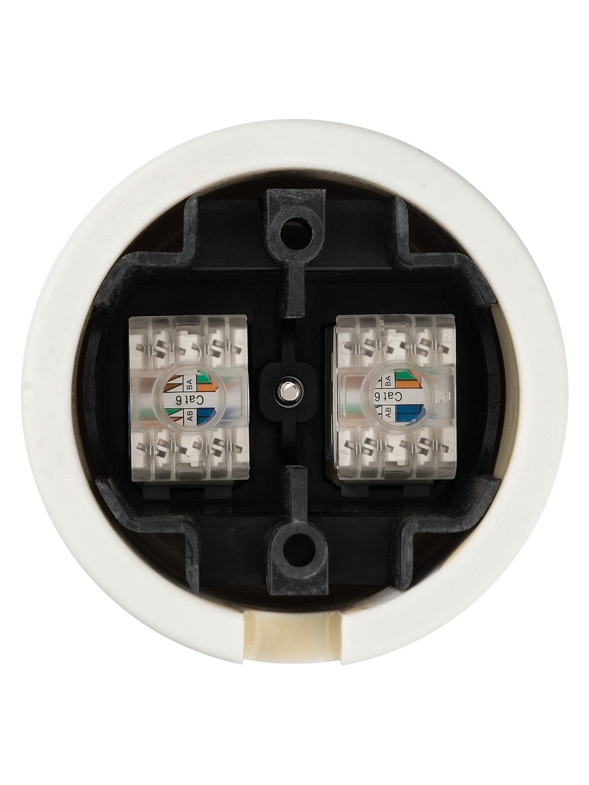 Розетка ПК двойная RJ45 сл. кость «Болонь» TDM — изображение 5