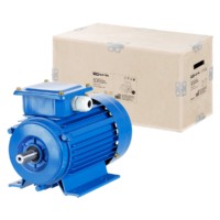 Электродвигатель АИР 100L2 3ф 5,5кВт 3000об/мин 1081 TDM