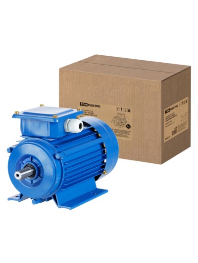 Электродвигатель АИР 63A4 3ф 0,25кВт 1500об/мин 1081 TDM